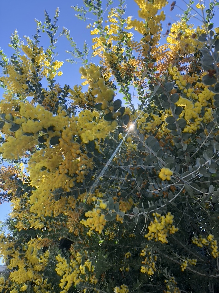 A floral installation: A short tale about hope &&nbsp;growth