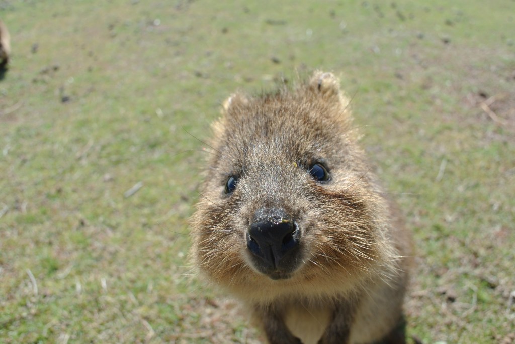 An Open heart letter: Can we talk about courage for a&nbsp;moment?