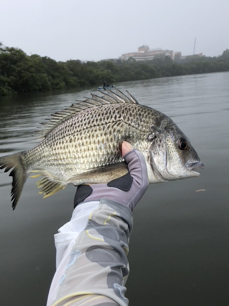 Trying to catch a Bream is like chasing a&nbsp;dream