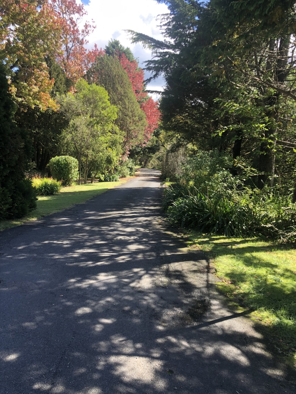 A thought piece:             The thing about perspective is&nbsp;…