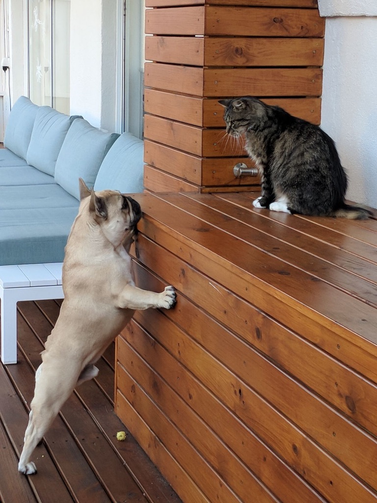 Life: You cannot compare & be&nbsp;happy