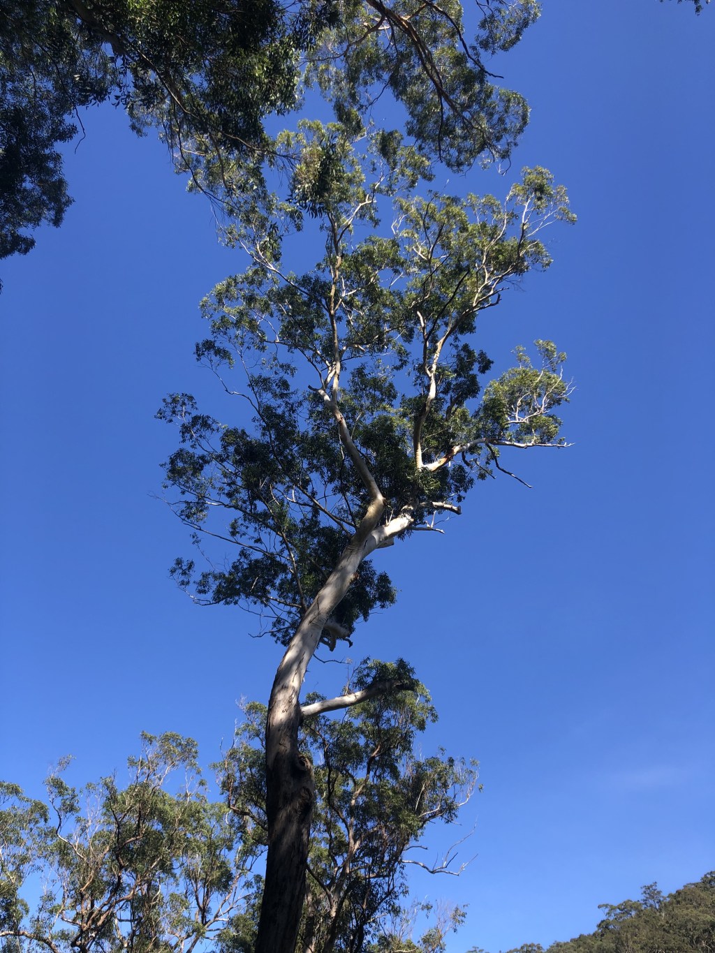 Reflection: Saying goodbye to May. I’m not quite ready for&nbsp;June.