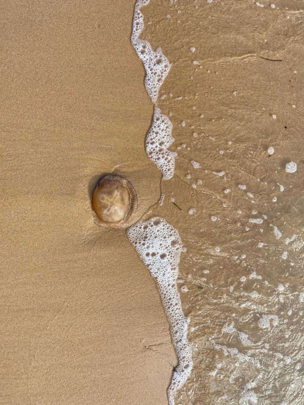 Finding Peace: Embracing Flaws and Accepting Life’s&nbsp;Imperfections