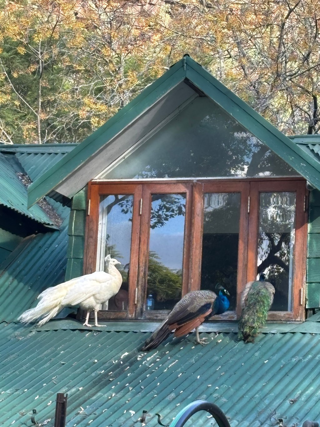 Those who judge the harshest, are the most&nbsp;broken